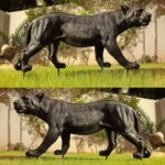 Wild Black Panther Art Sculpture