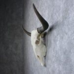 MOUNTAIN GUARDIAN YAK SKULL WALL HANGING SCULPTURE