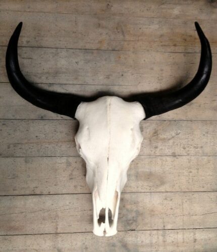 MOUNTAIN GUARDIAN YAK SKULL WALL HANGING SCULPTURE