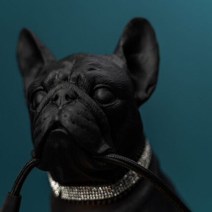 Table Lamp Dog Francis Black