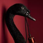 Wall Lamp Swan Petra Black