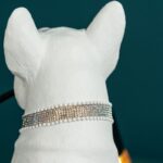 Table Lamp Dog Francis White