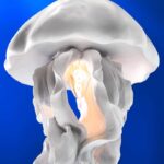 CEILING LIGHT JELLYFISH AVA WHITE