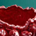 Vase Chilli L Red