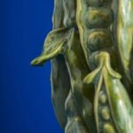 Vase Peas Long Green