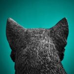 Table Lamp Cat Chouchou Black