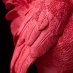 FABULOUS PINK OSTRICH FLOOR LAMP