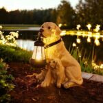 SOLAR DOG LIGHTS OUTDOOR WATERPROOF GARDEN DECOR SOLAR-POWERED LAWN LAMP