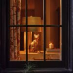 THE ICON TABLE LAMP CAT EDITION DOMESTIC SHORTHAIR