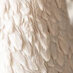 SWAN HEAD WALL ART