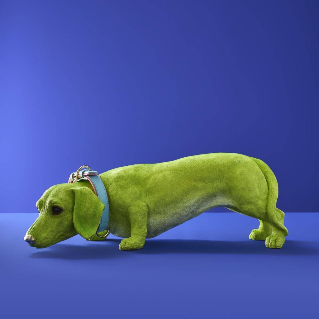 1Decorative Figure Dog Dachshund with Collar Wilfried Animal Sculpture Decorative Figure Dog Dachshund with Collar Wilfried Animal Sculpture