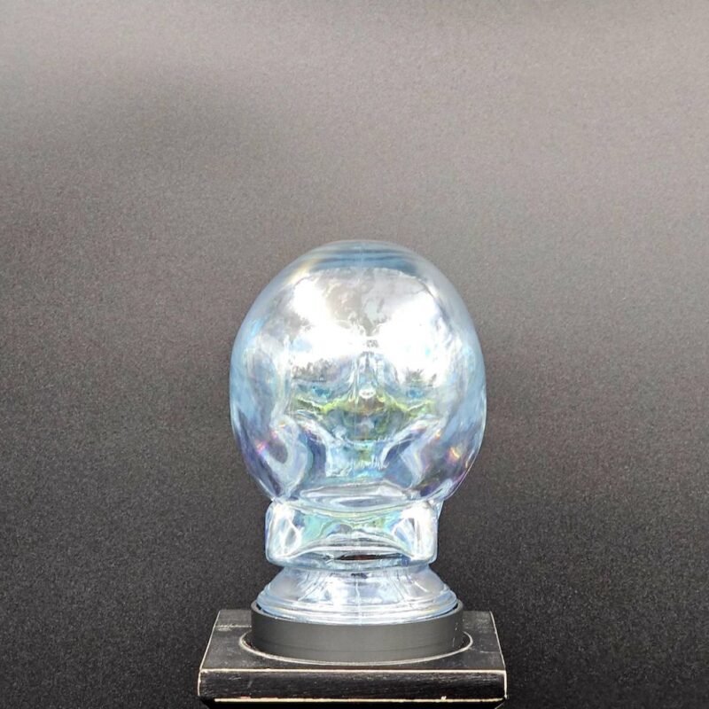 Clear Glass Skull Sculptural Table Lamp Cover