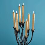 Candlestick Roots Black Art Sculptures