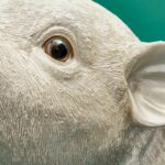 Money Box Pig Piggy Bank Animal Sculpture