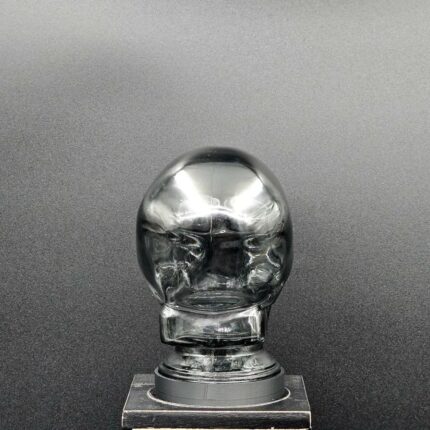 Smoke Gray Glass Skull Art Sculpture Light Cover