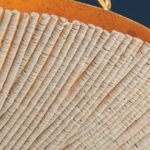 SUMMERSIDE COCO SHELL PENDANT