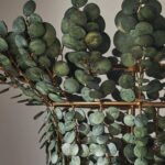 BILAL LARGE COCONUT CHANDELIER IN GREEN