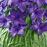 GREEN AND PURPLE VERANO ACCENT VASE
