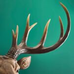 BROWN DEER WALL LIGHT WITH BABY HARRY FIGURE